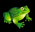 frog