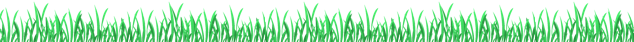 grass